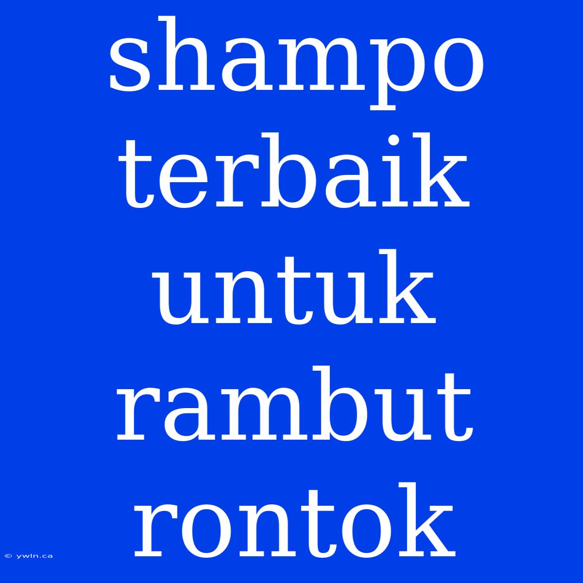 Shampo Terbaik Untuk Rambut Rontok