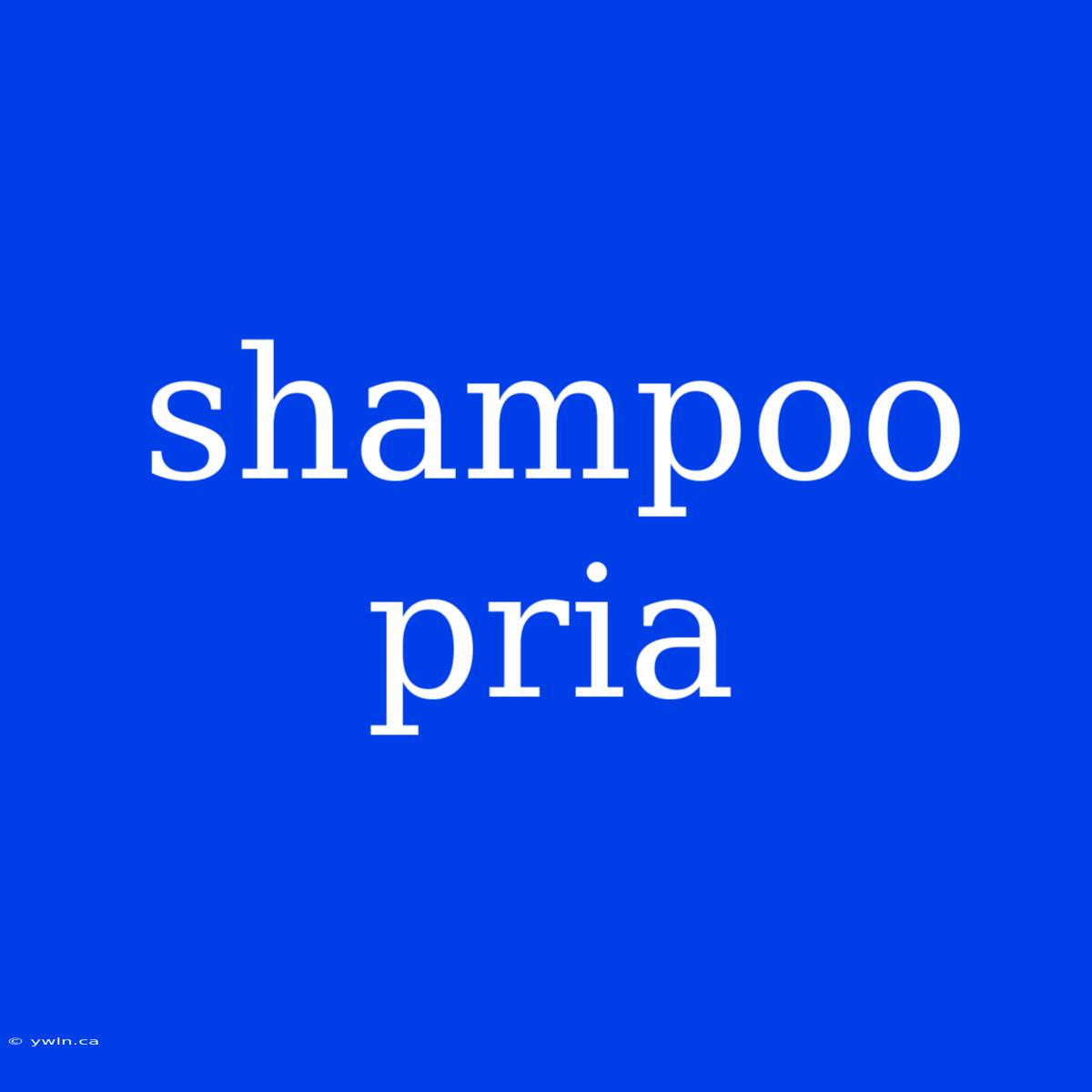 Shampoo Pria