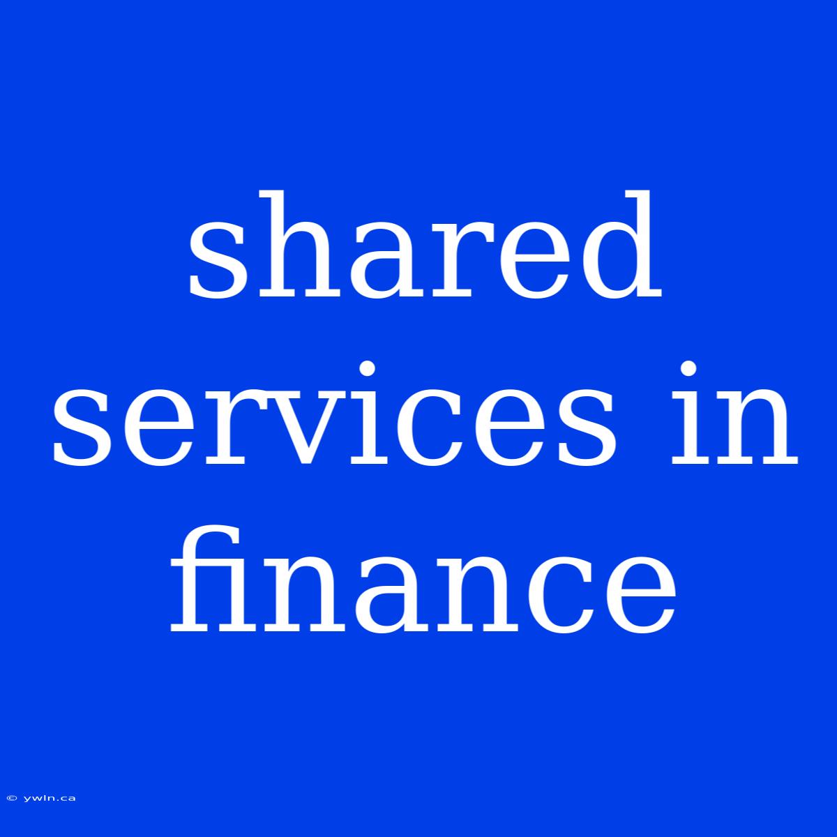 Shared Services In Finance