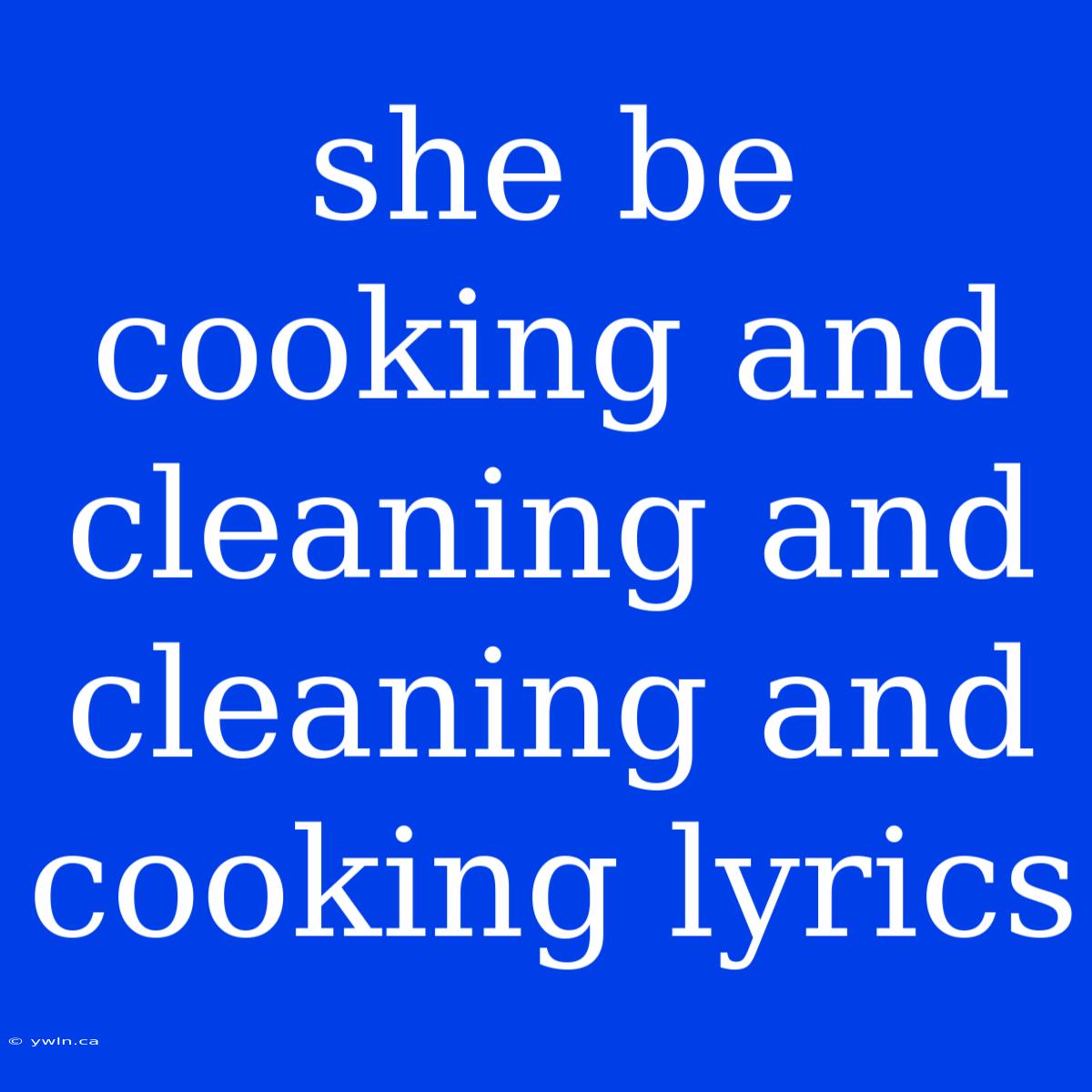 She Be Cooking And Cleaning And Cleaning And Cooking Lyrics