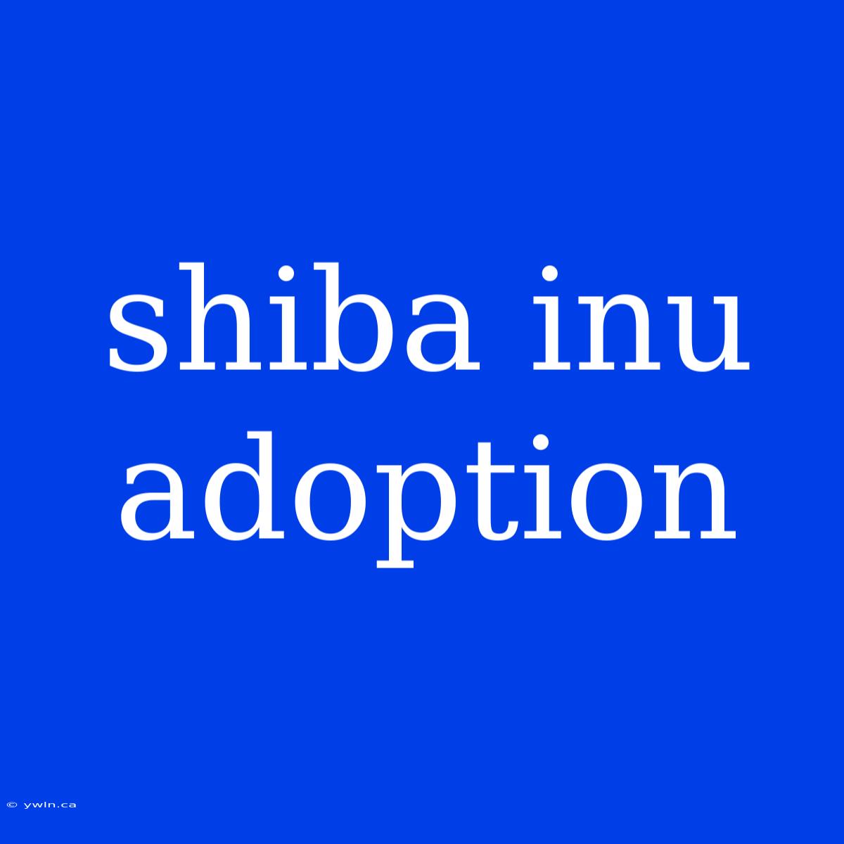 Shiba Inu Adoption