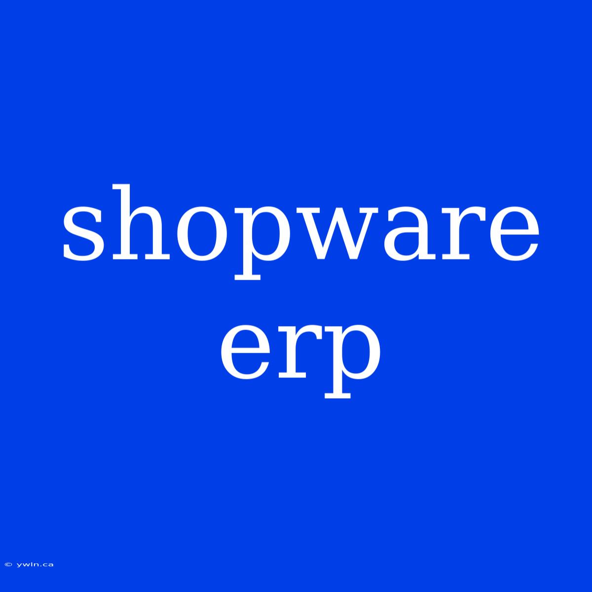 Shopware Erp