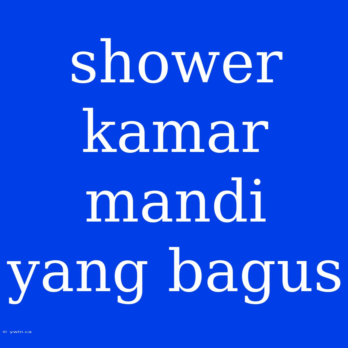 Shower Kamar Mandi Yang Bagus