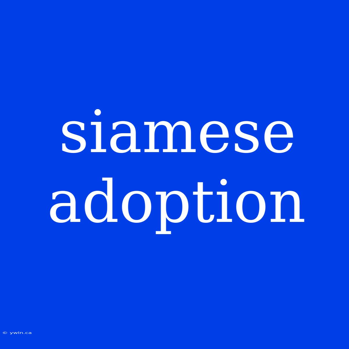 Siamese Adoption