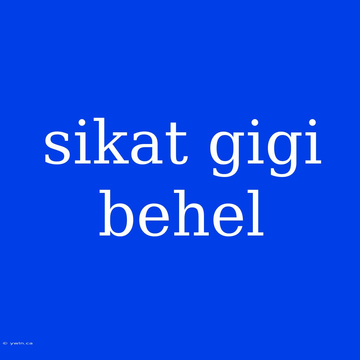 Sikat Gigi Behel