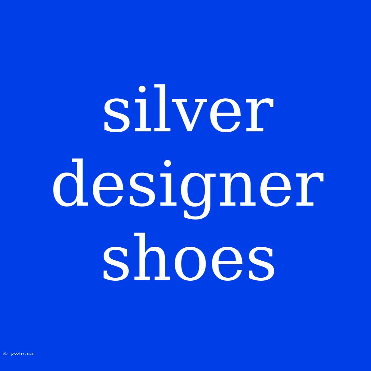 Silver Designer Shoes