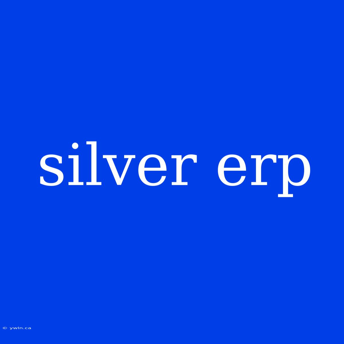 Silver Erp