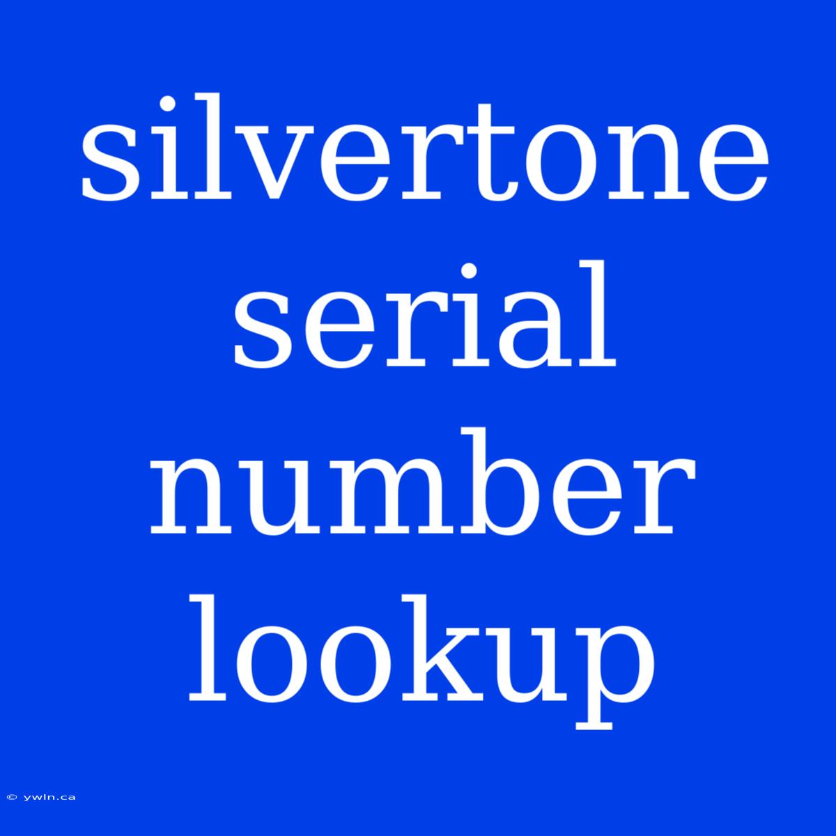 Silvertone Serial Number Lookup