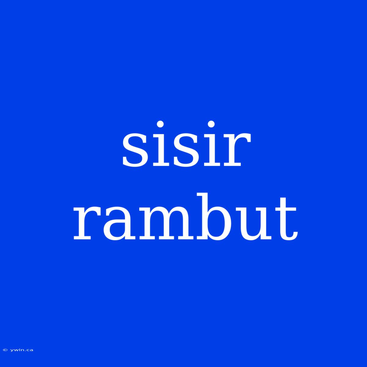 Sisir Rambut