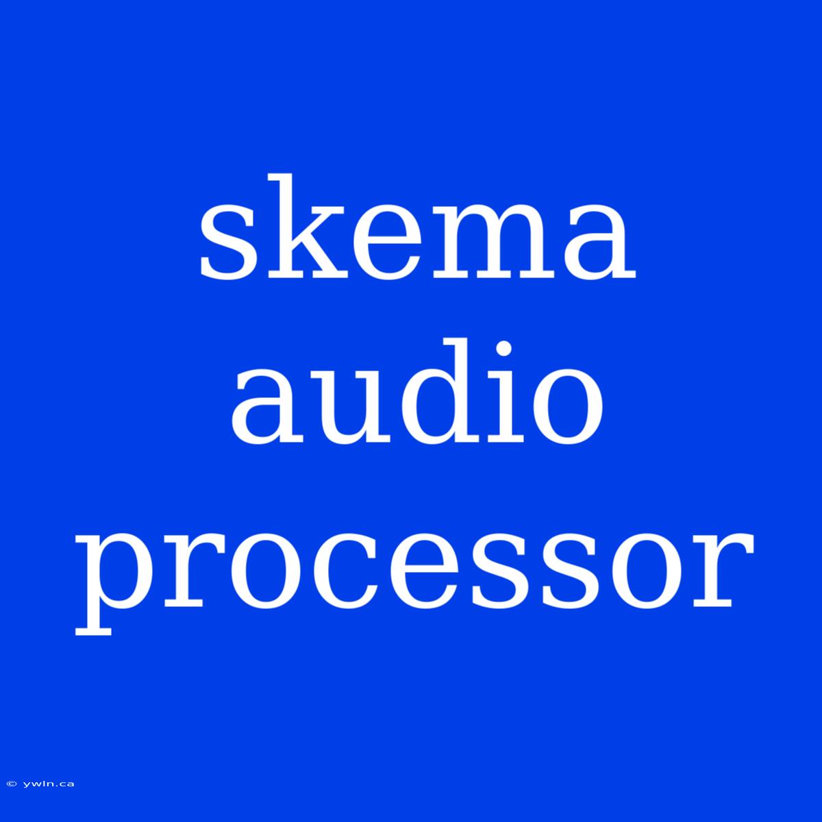 Skema Audio Processor