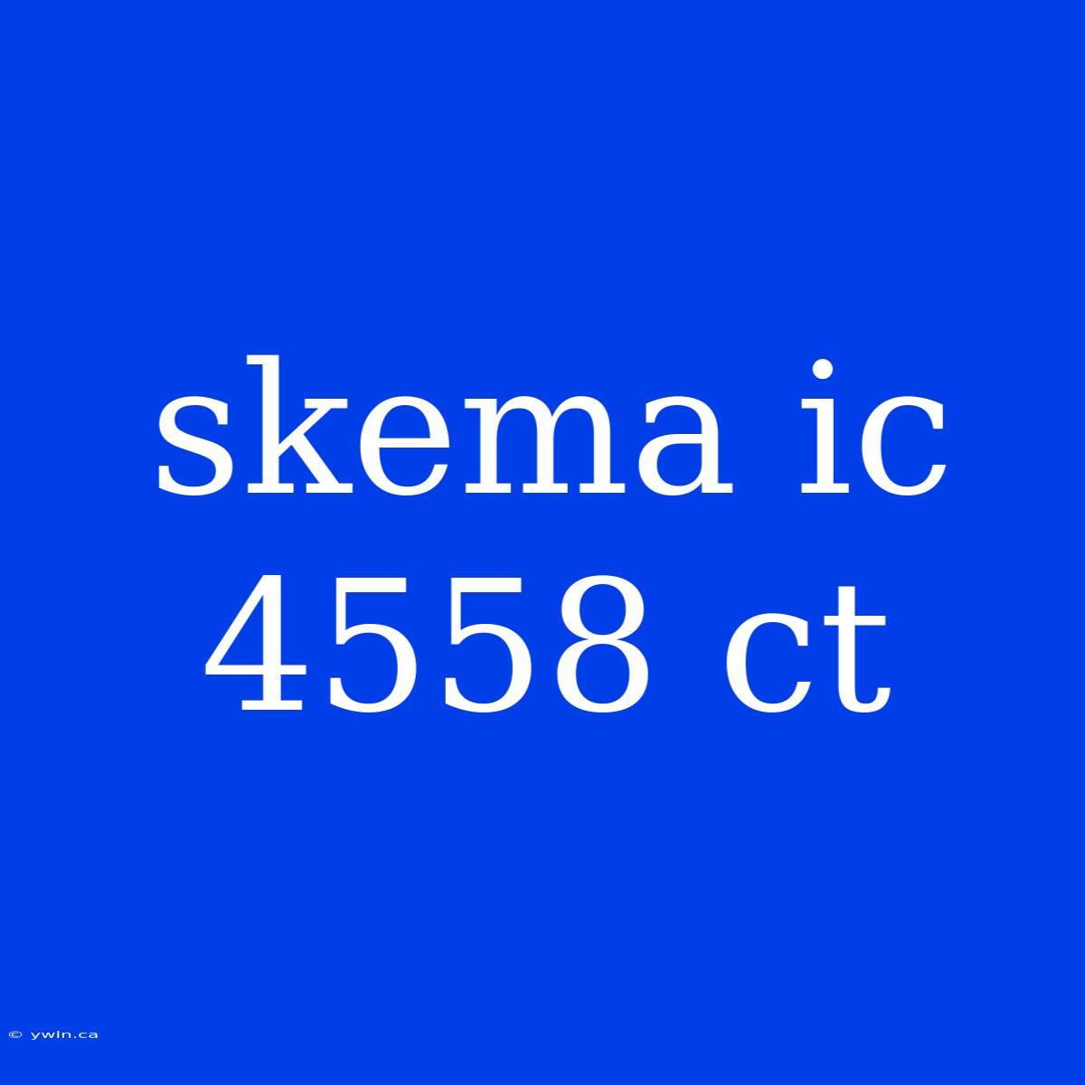 Skema Ic 4558 Ct