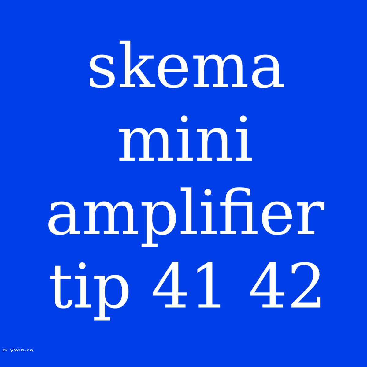 Skema Mini Amplifier Tip 41 42