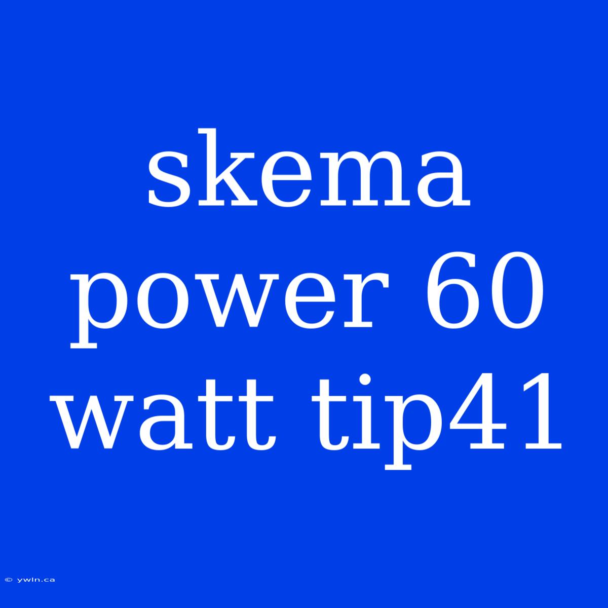 Skema Power 60 Watt Tip41