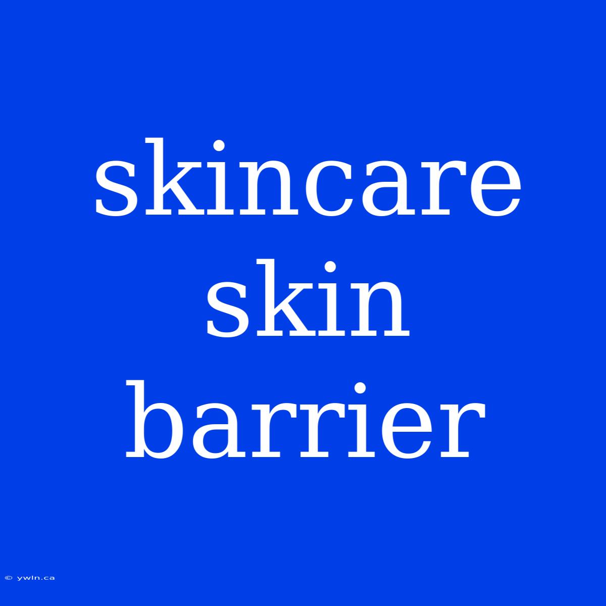 Skincare Skin Barrier