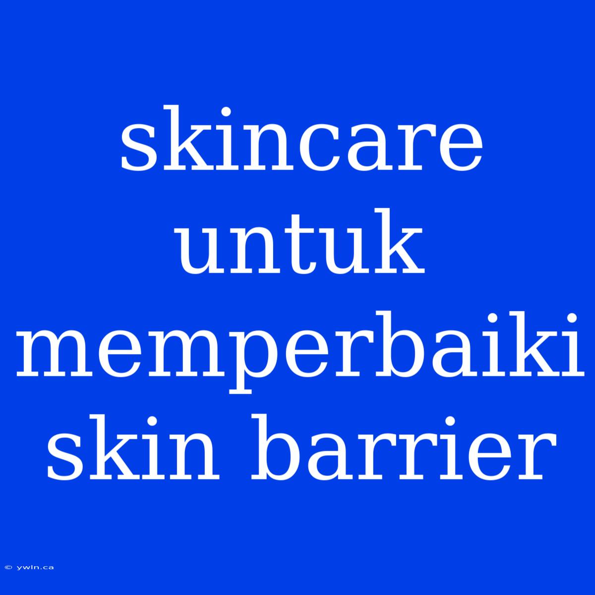 Skincare Untuk Memperbaiki Skin Barrier