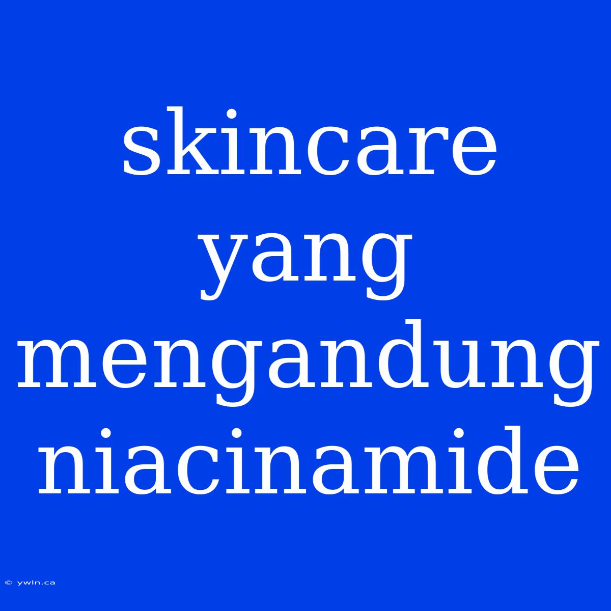 Skincare Yang Mengandung Niacinamide