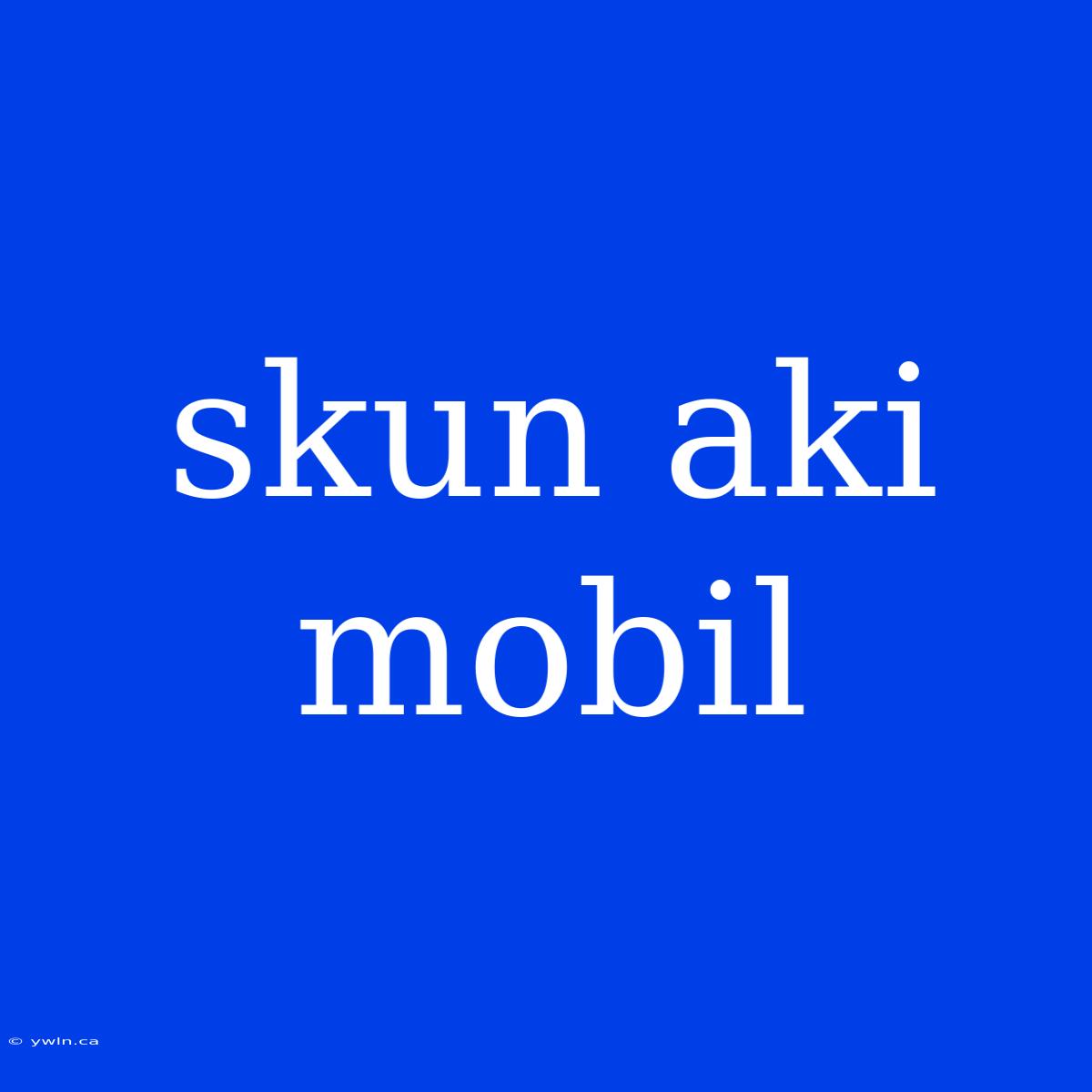 Skun Aki Mobil