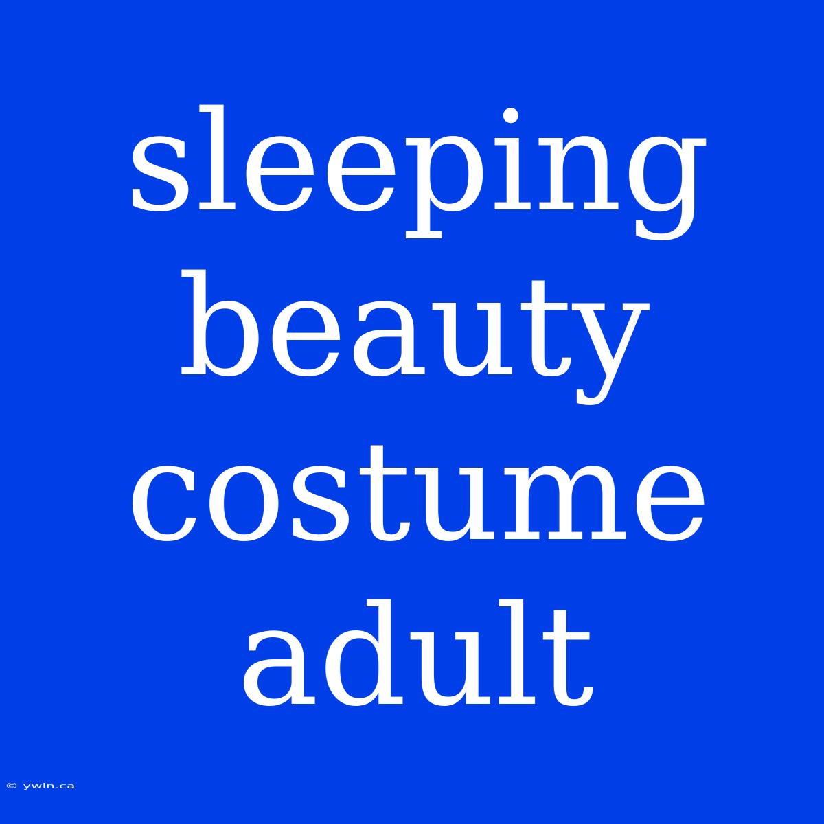 Sleeping Beauty Costume Adult