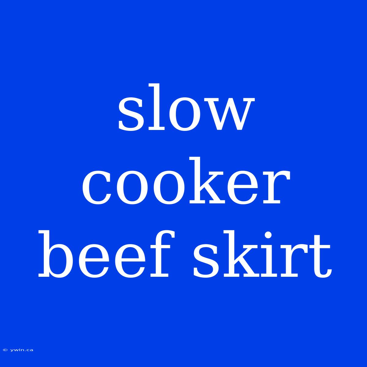 Slow Cooker Beef Skirt