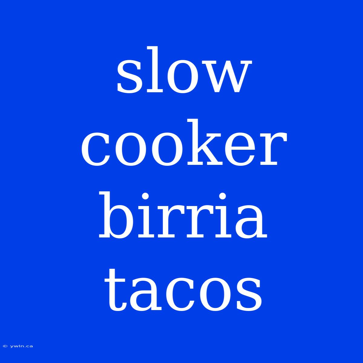 Slow Cooker Birria Tacos