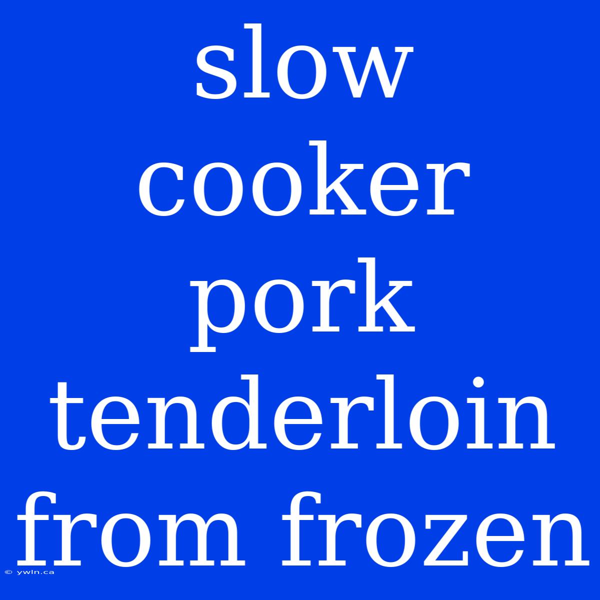 Slow Cooker Pork Tenderloin From Frozen