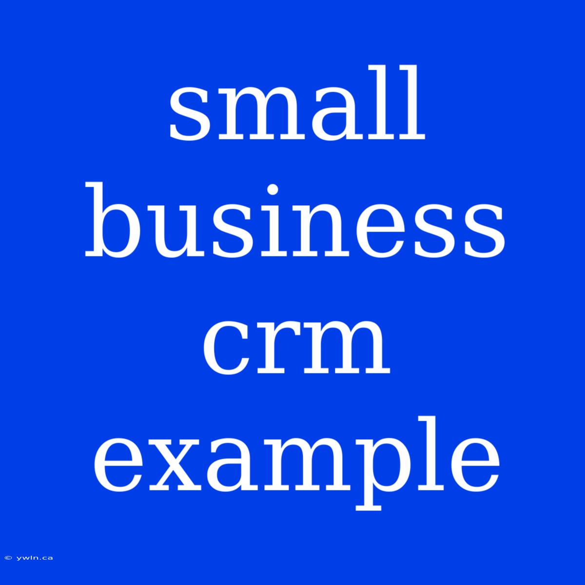 Small Business Crm Example