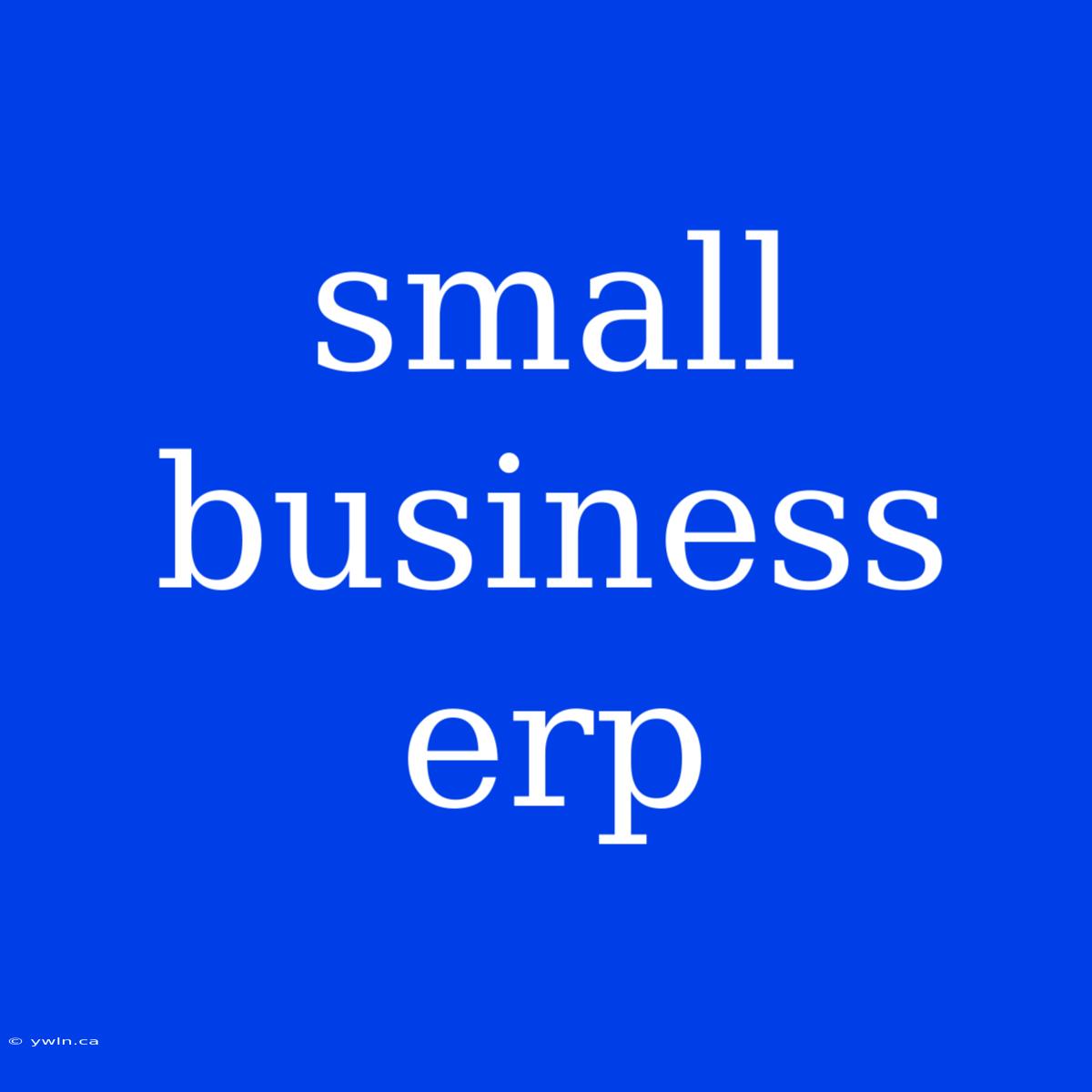 Small Business Erp