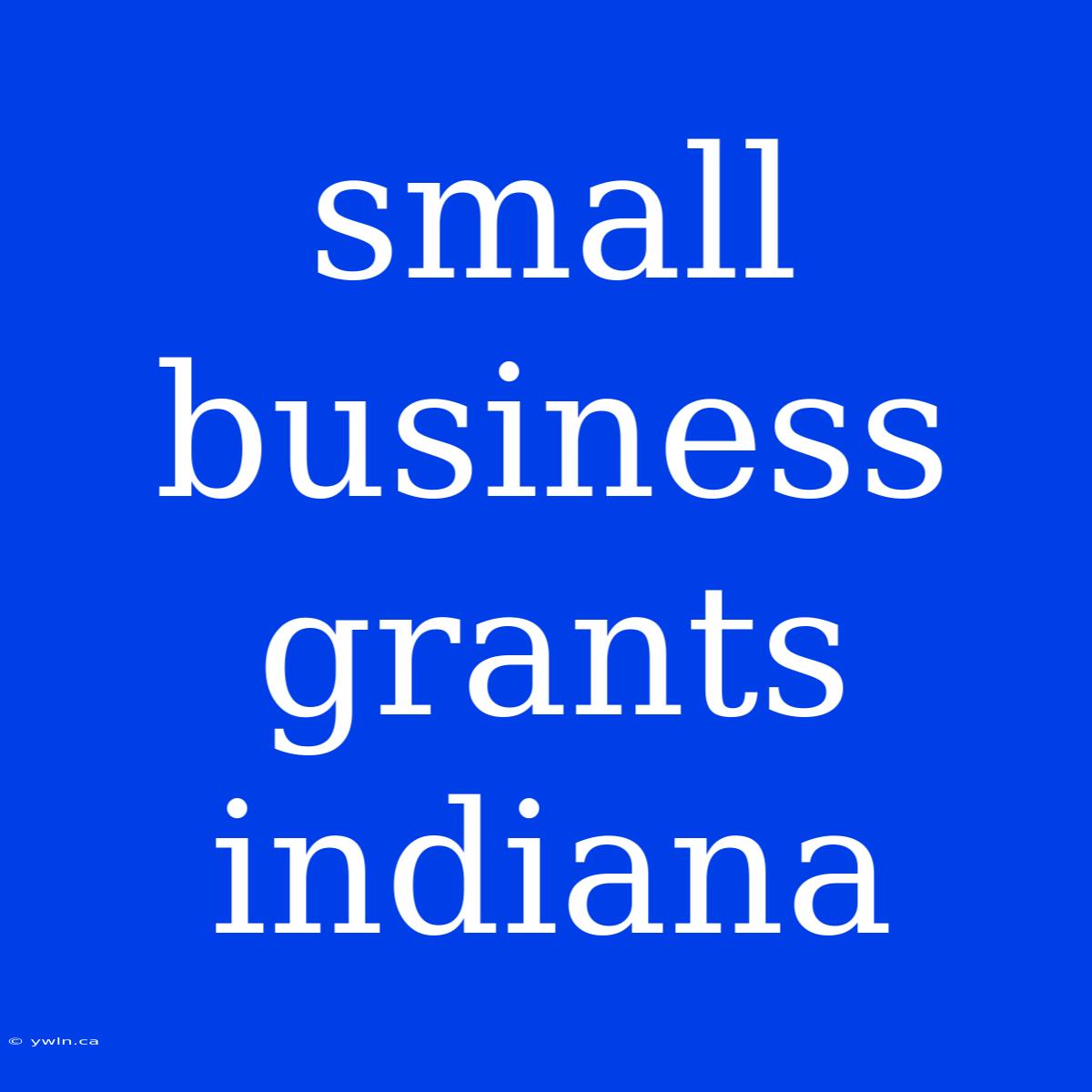 Small Business Grants Indiana