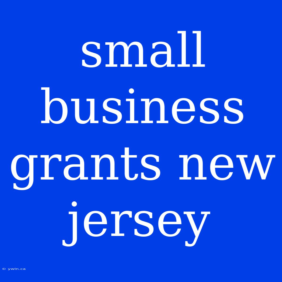 Small Business Grants New Jersey