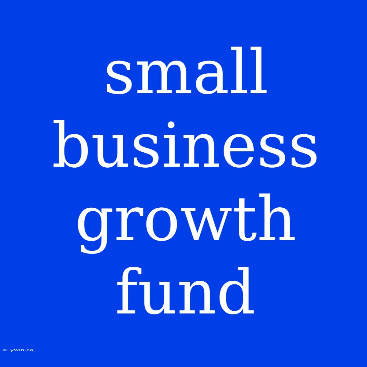 Small Business Growth Fund