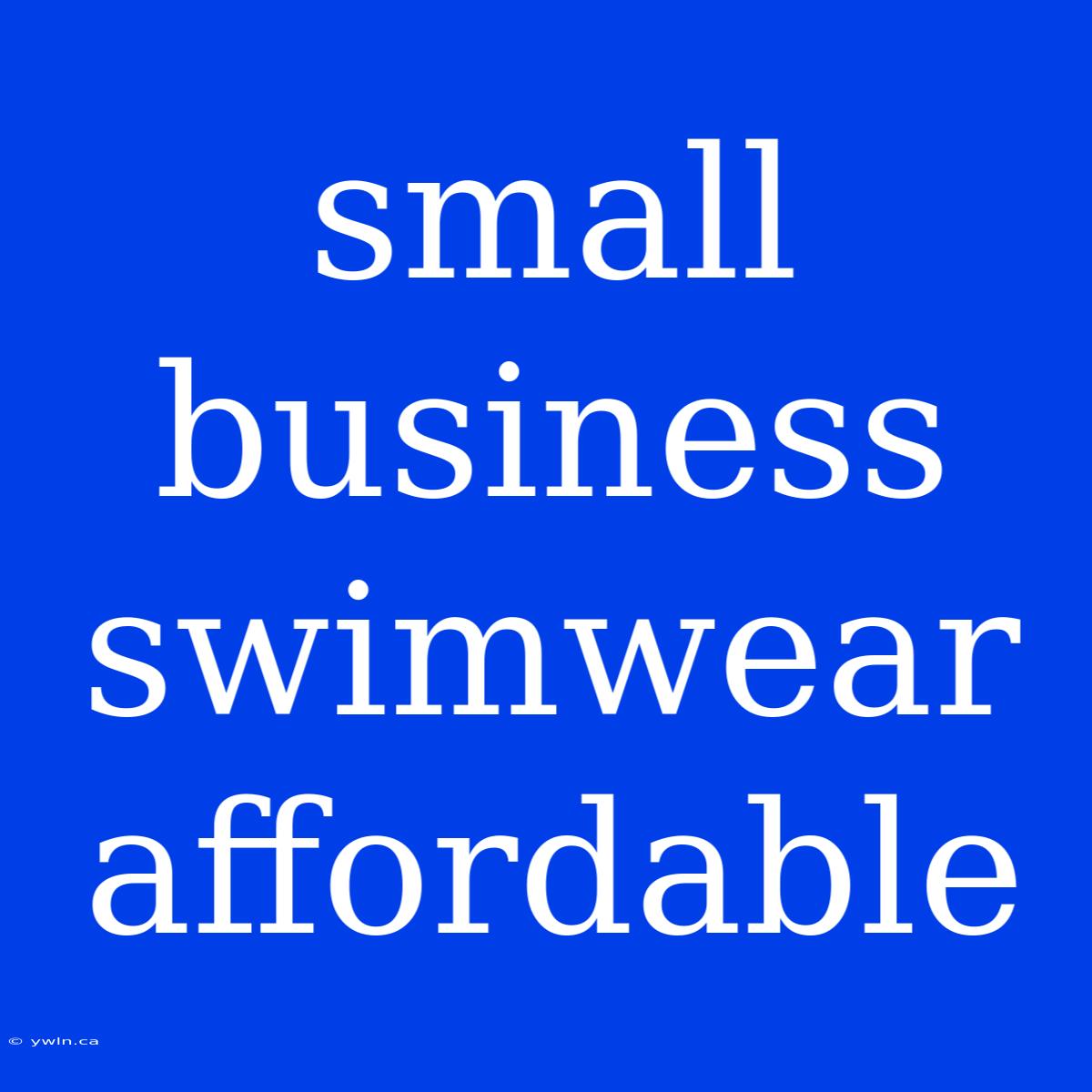 Small Business Swimwear Affordable