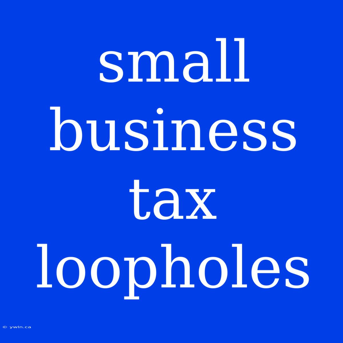 Small Business Tax Loopholes