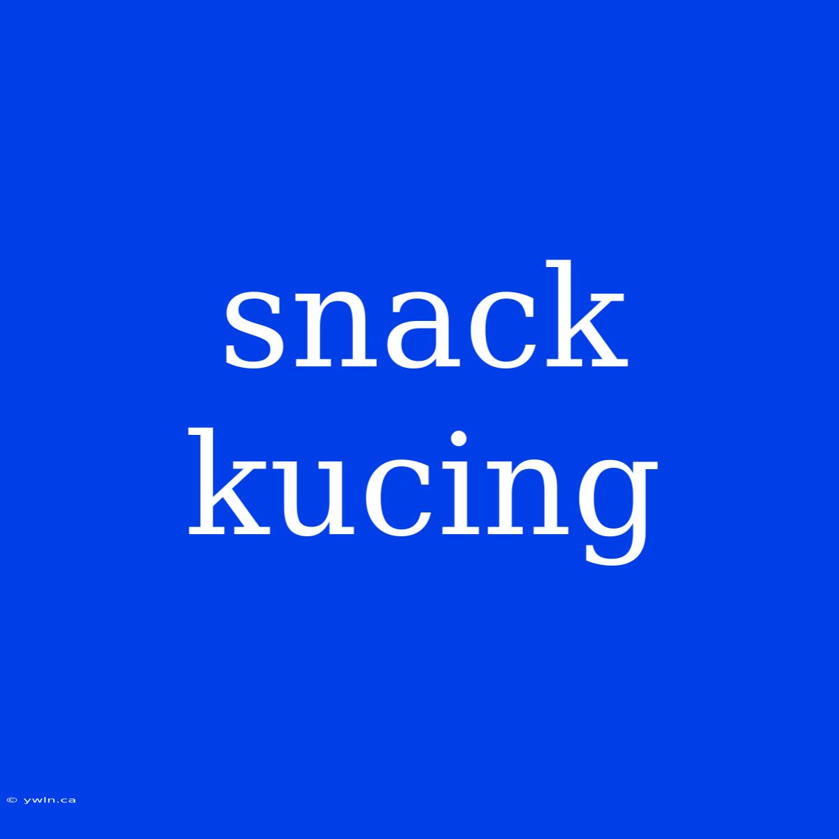 Snack Kucing