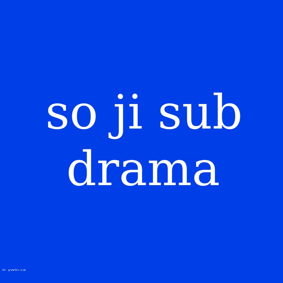 So Ji Sub Drama