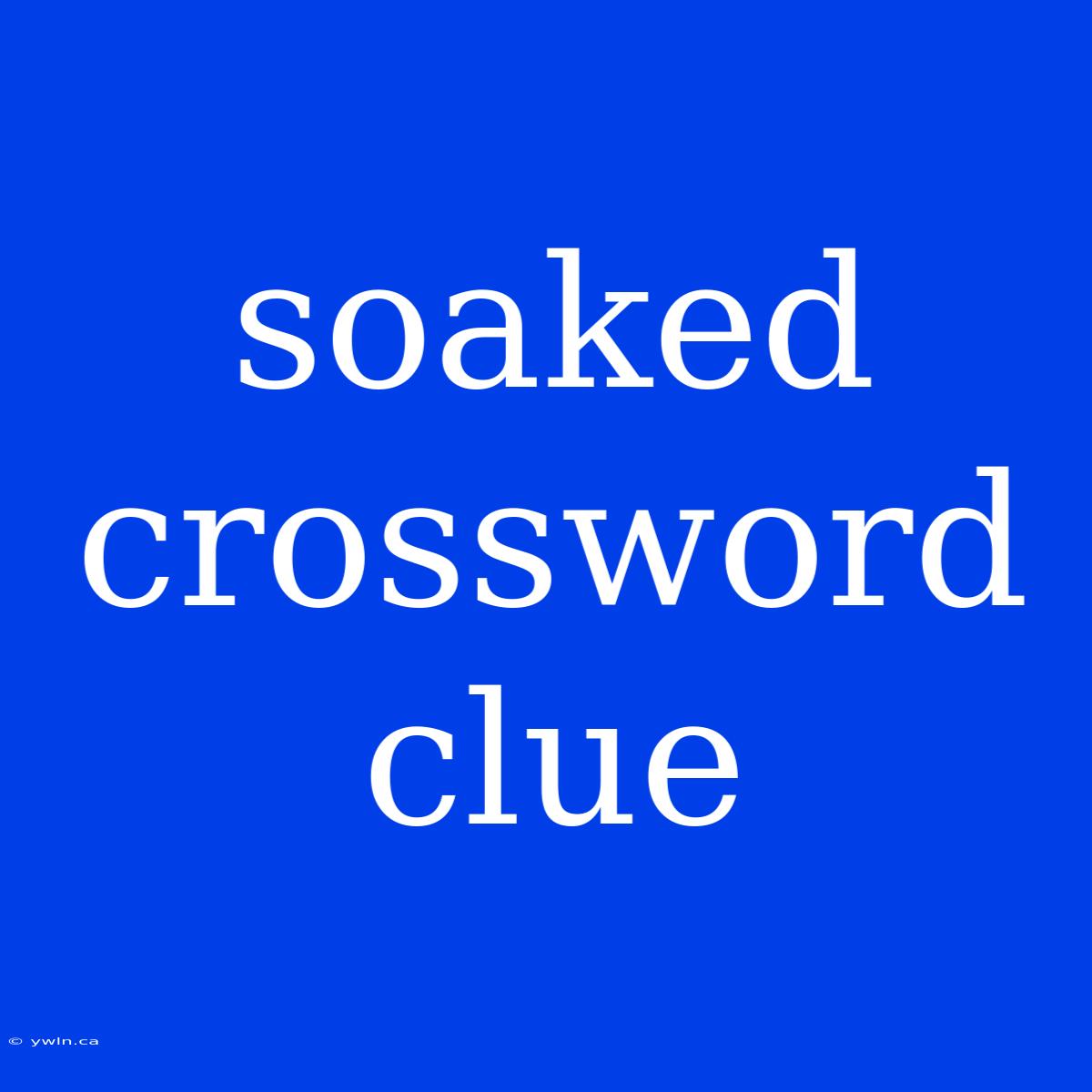 Soaked Crossword Clue