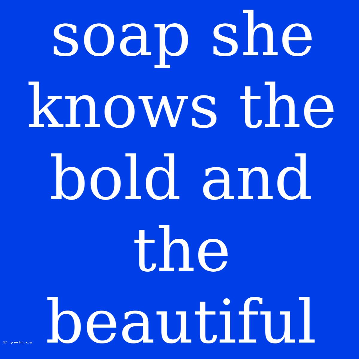 Soap She Knows The Bold And The Beautiful