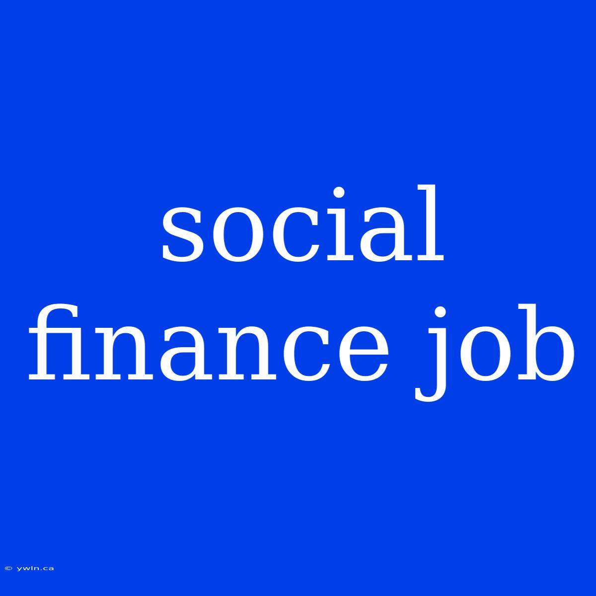 Social Finance Job