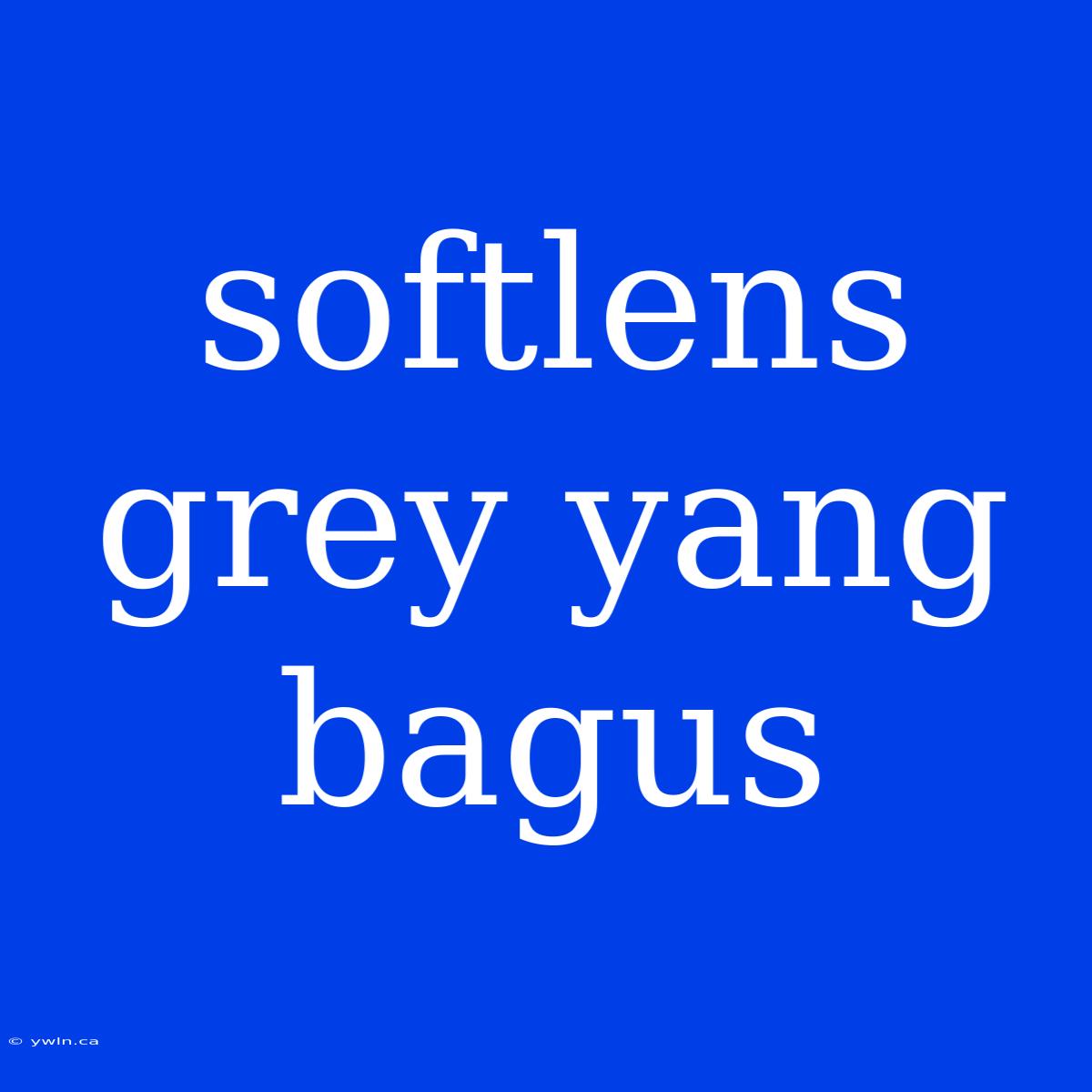 Softlens Grey Yang Bagus