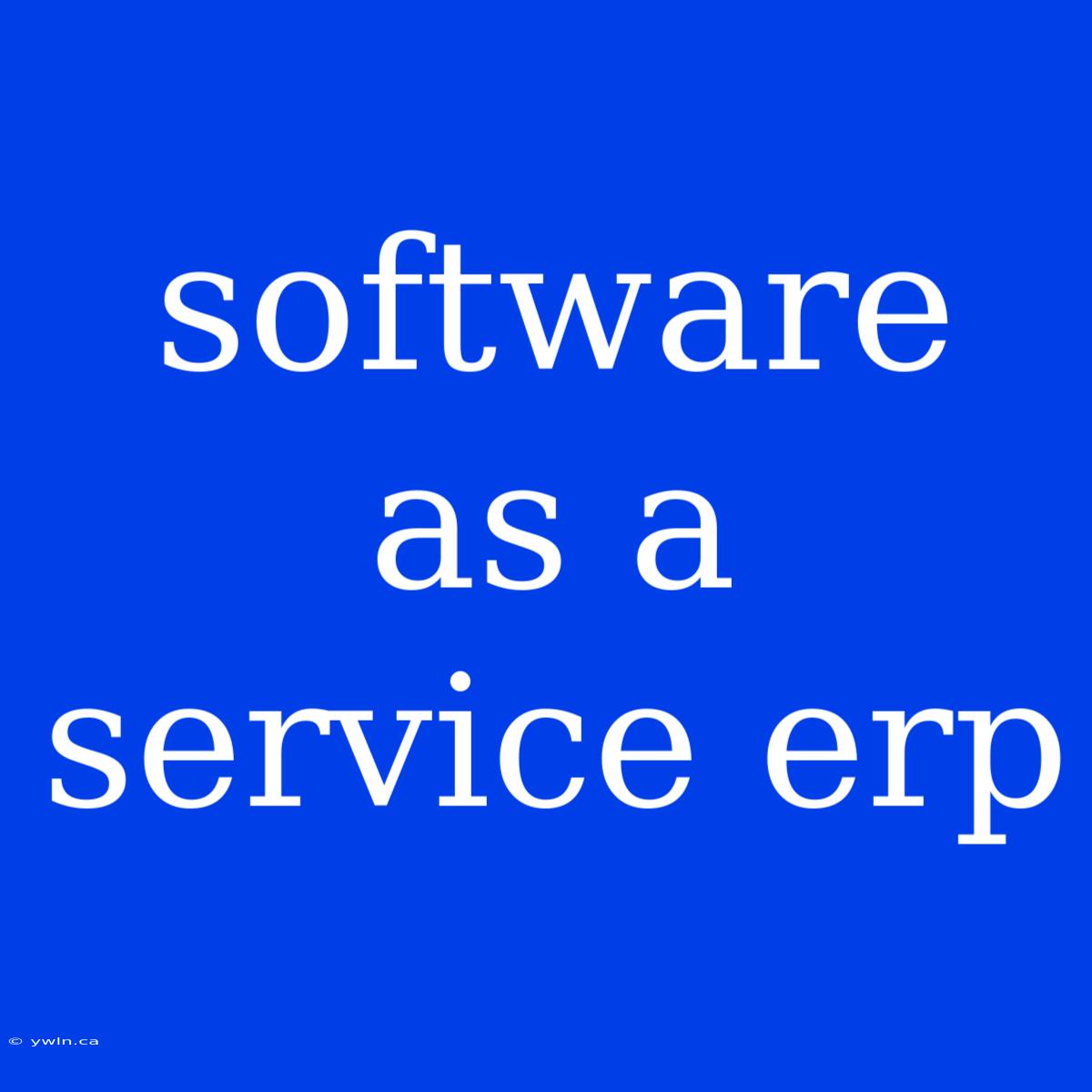 Software As A Service Erp