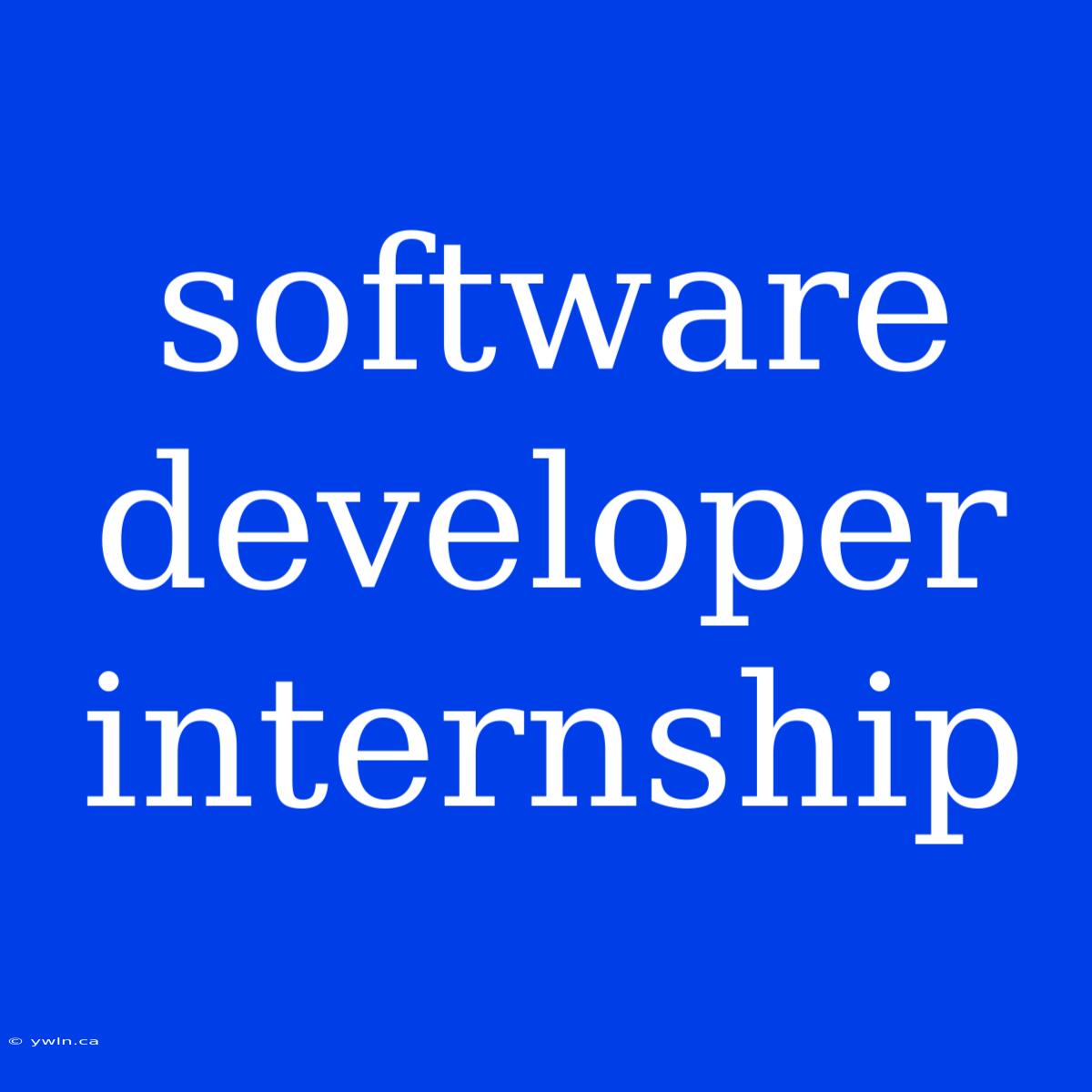 Software Developer Internship