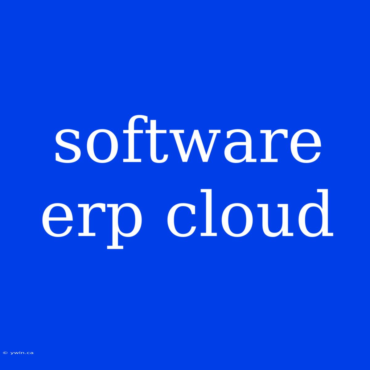 Software Erp Cloud