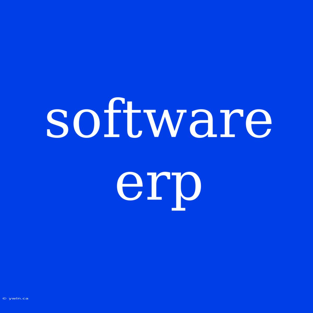 Software Erp