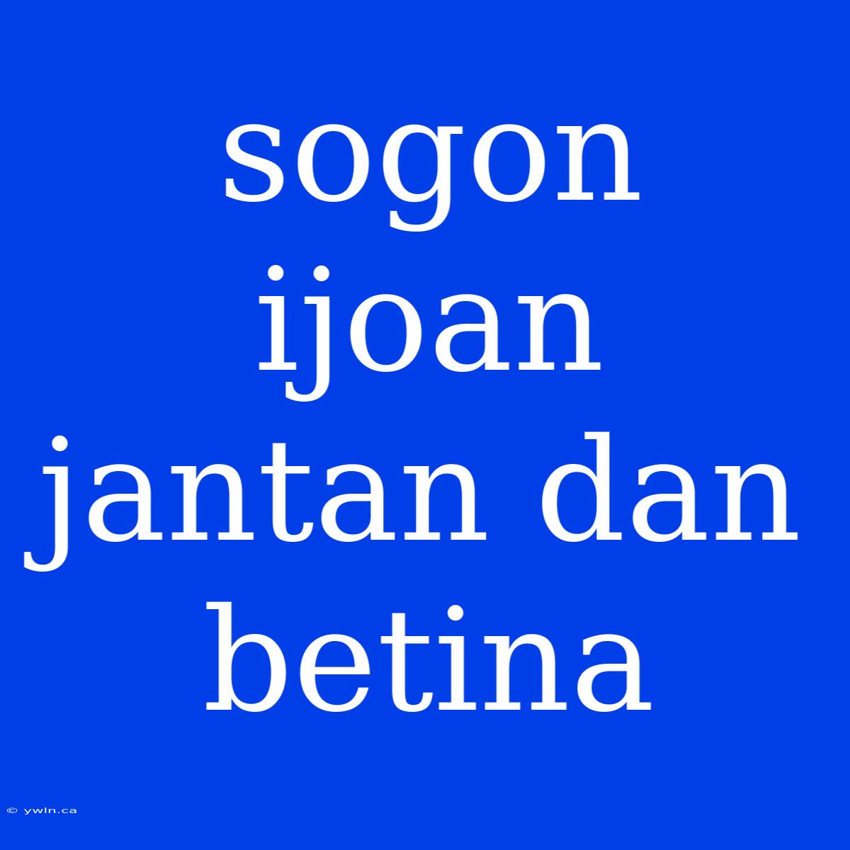 Sogon Ijoan Jantan Dan Betina