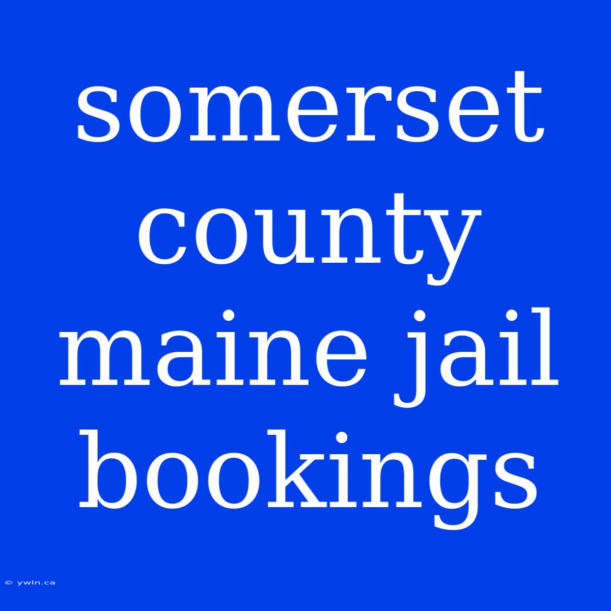 Somerset County Maine Jail Bookings