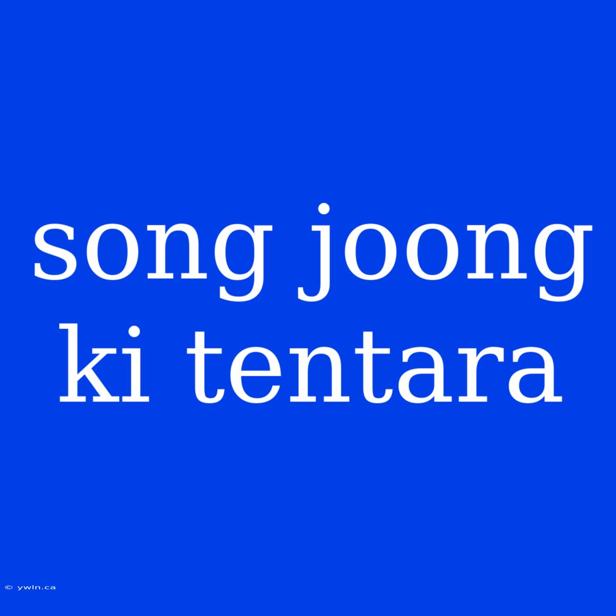 Song Joong Ki Tentara