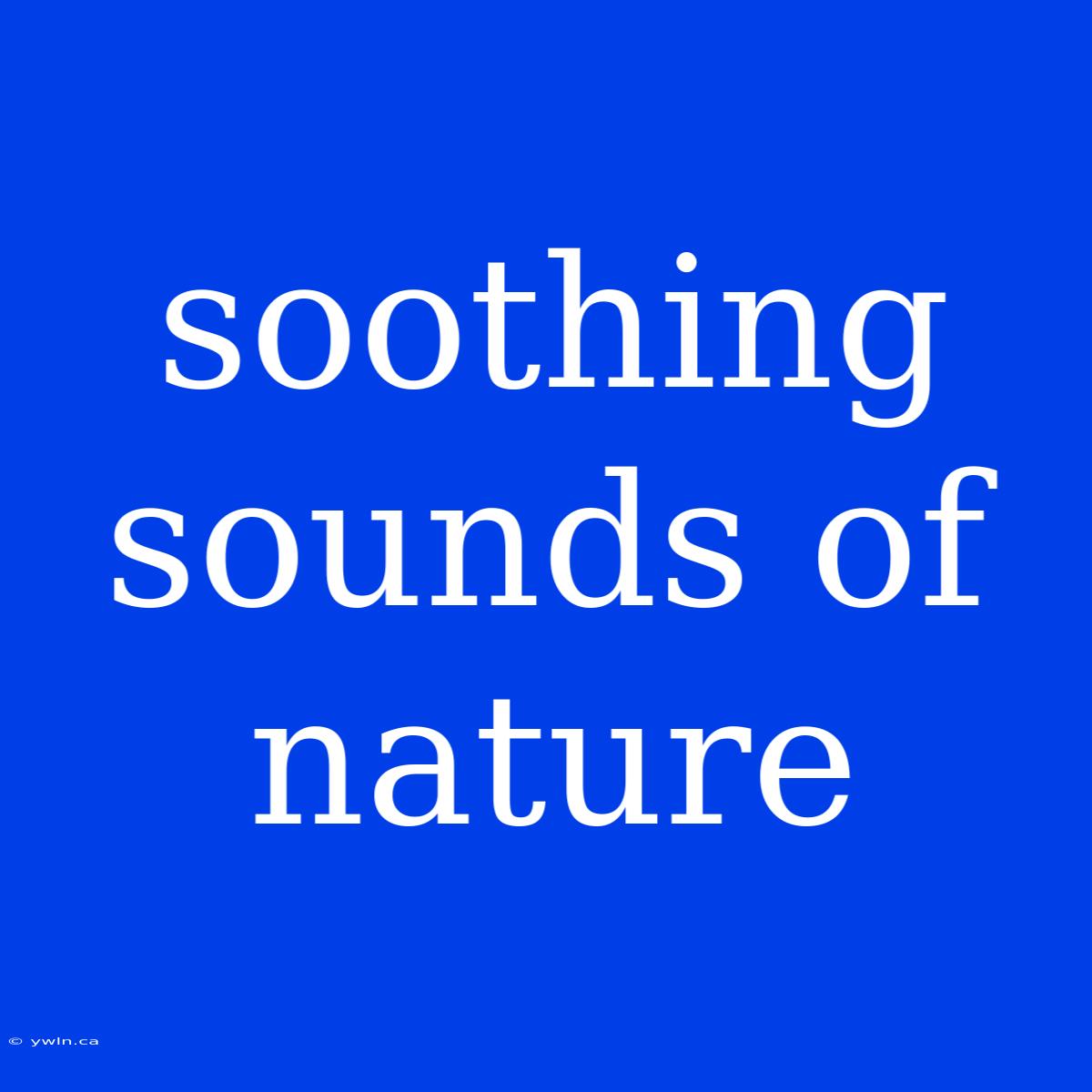 Soothing Sounds Of Nature