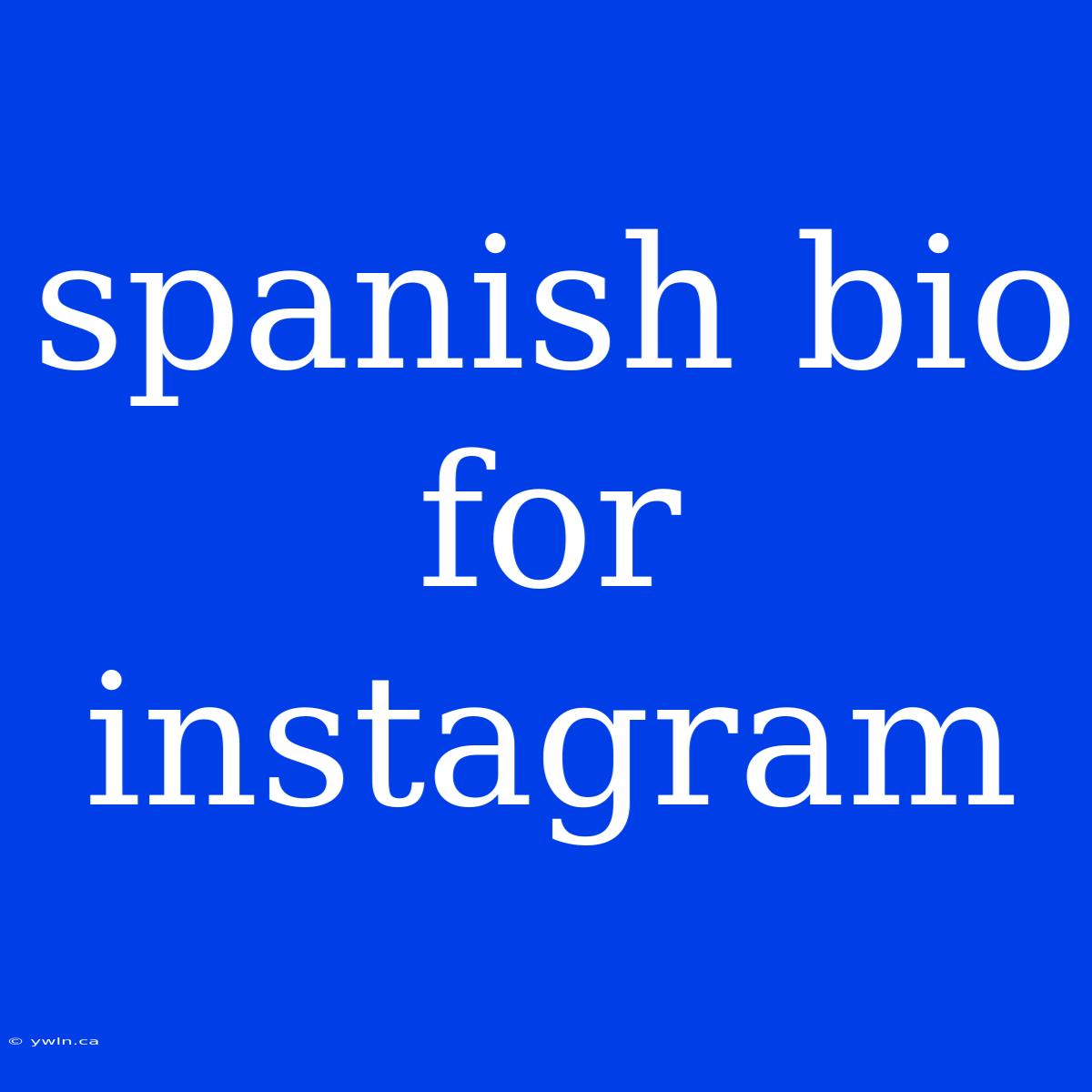 Spanish Bio For Instagram