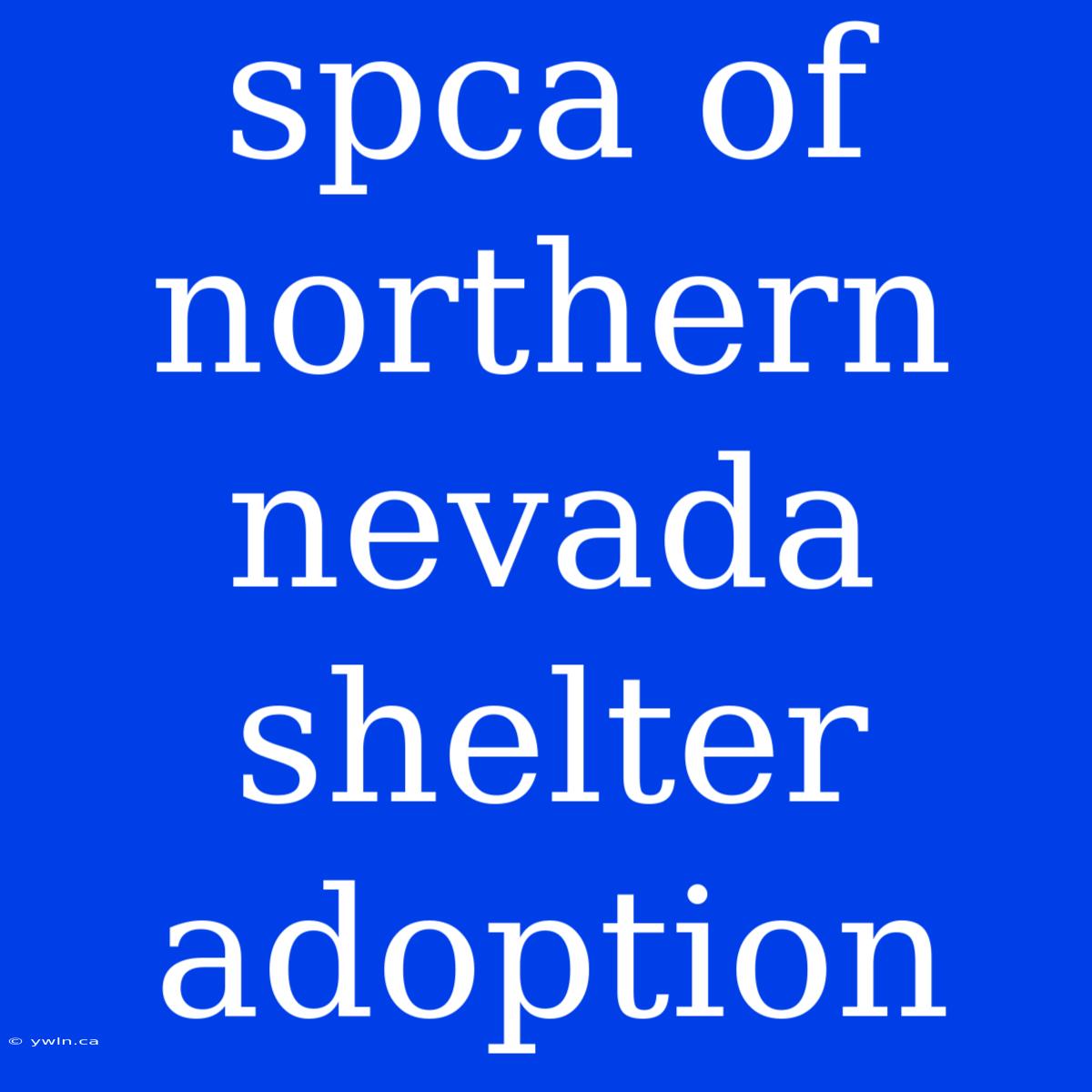 Spca Of Northern Nevada Shelter Adoption