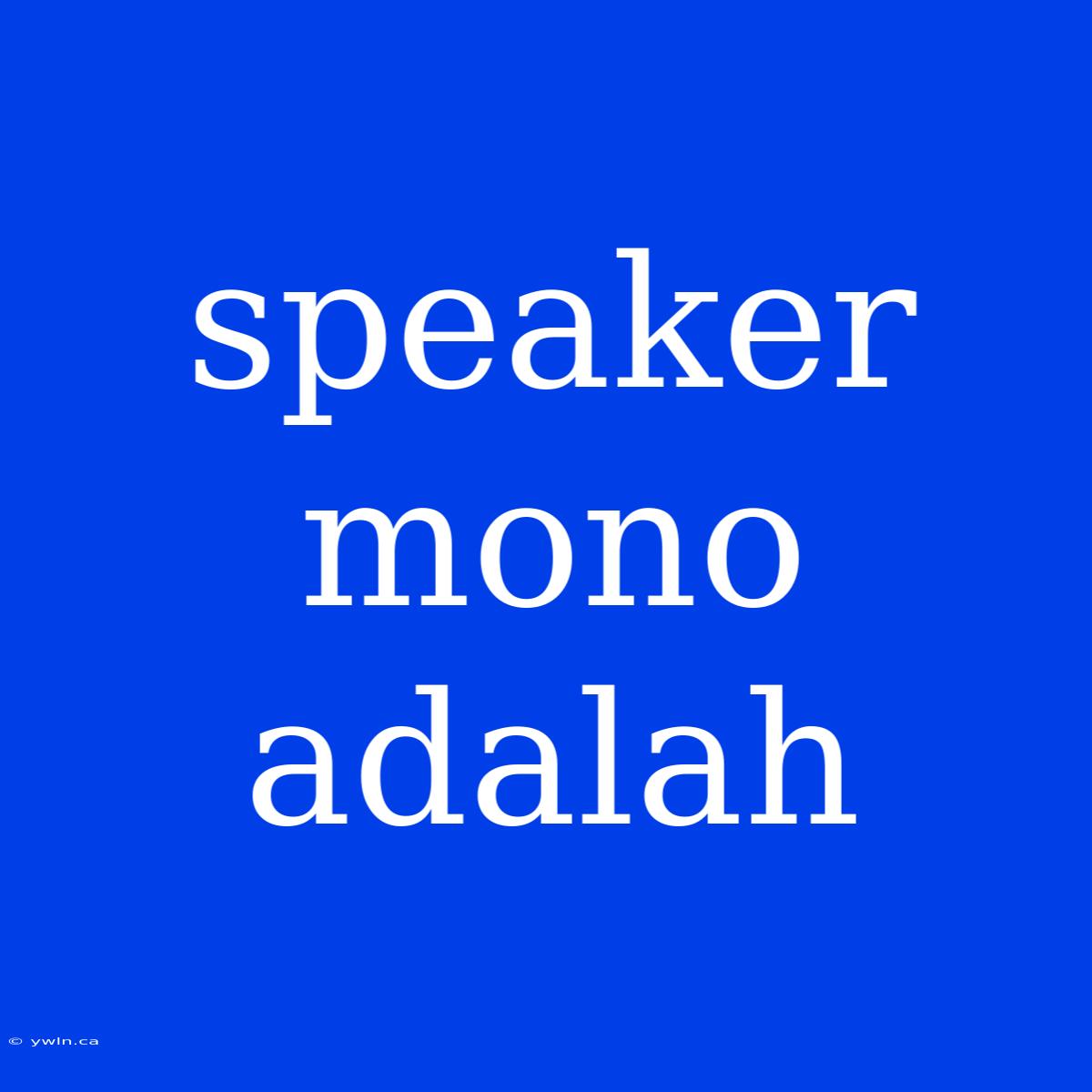 Speaker Mono Adalah