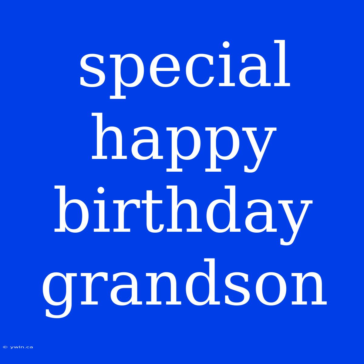 Special Happy Birthday Grandson